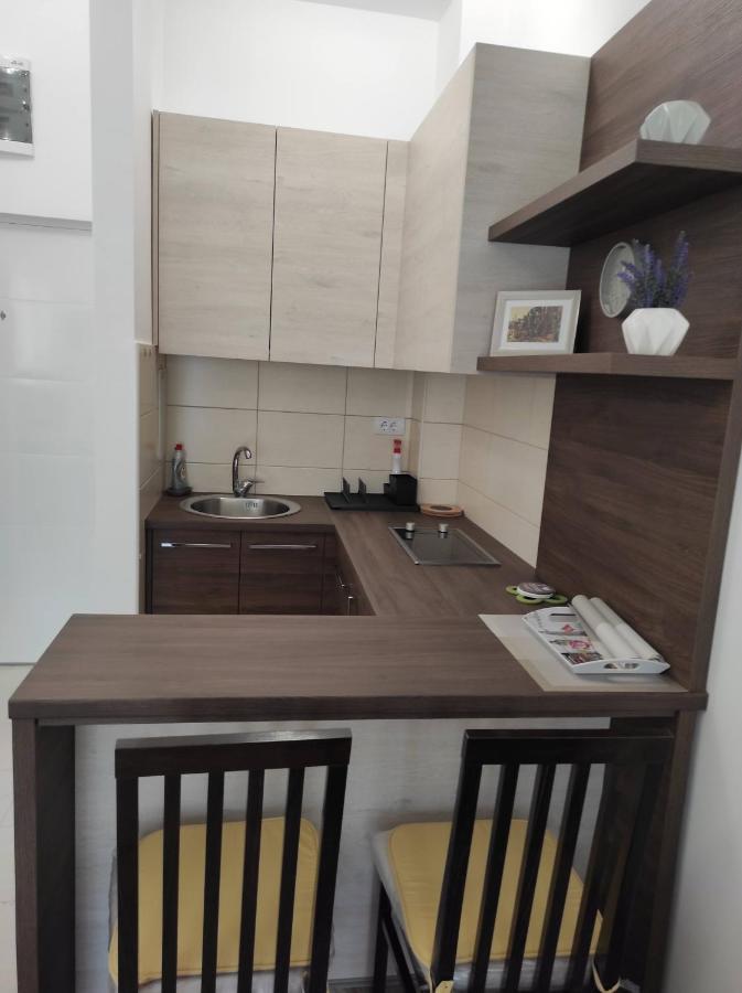 Studio Apartman Dani Banja Koviljaca Luaran gambar