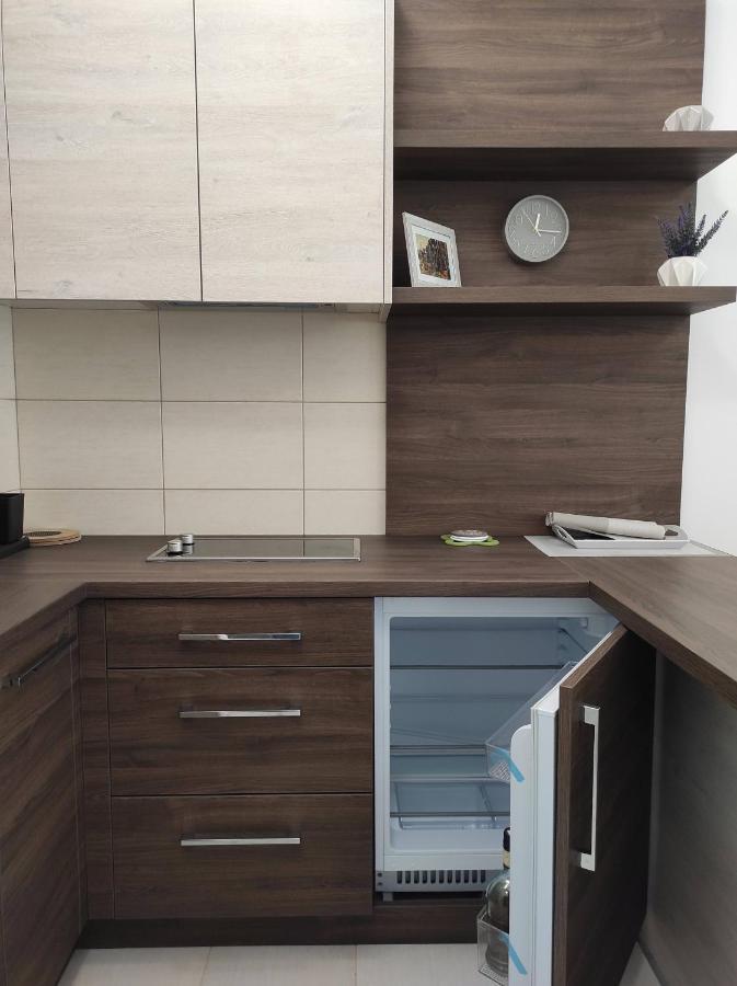 Studio Apartman Dani Banja Koviljaca Luaran gambar